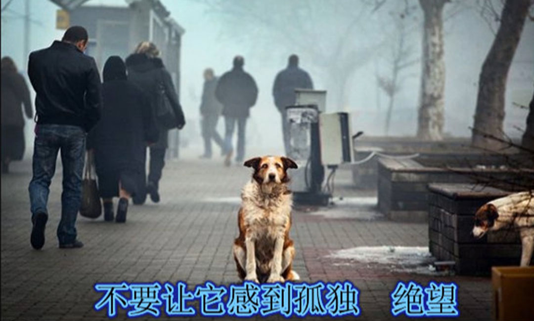汕尾汕尾爱影圈微博微信转发案例